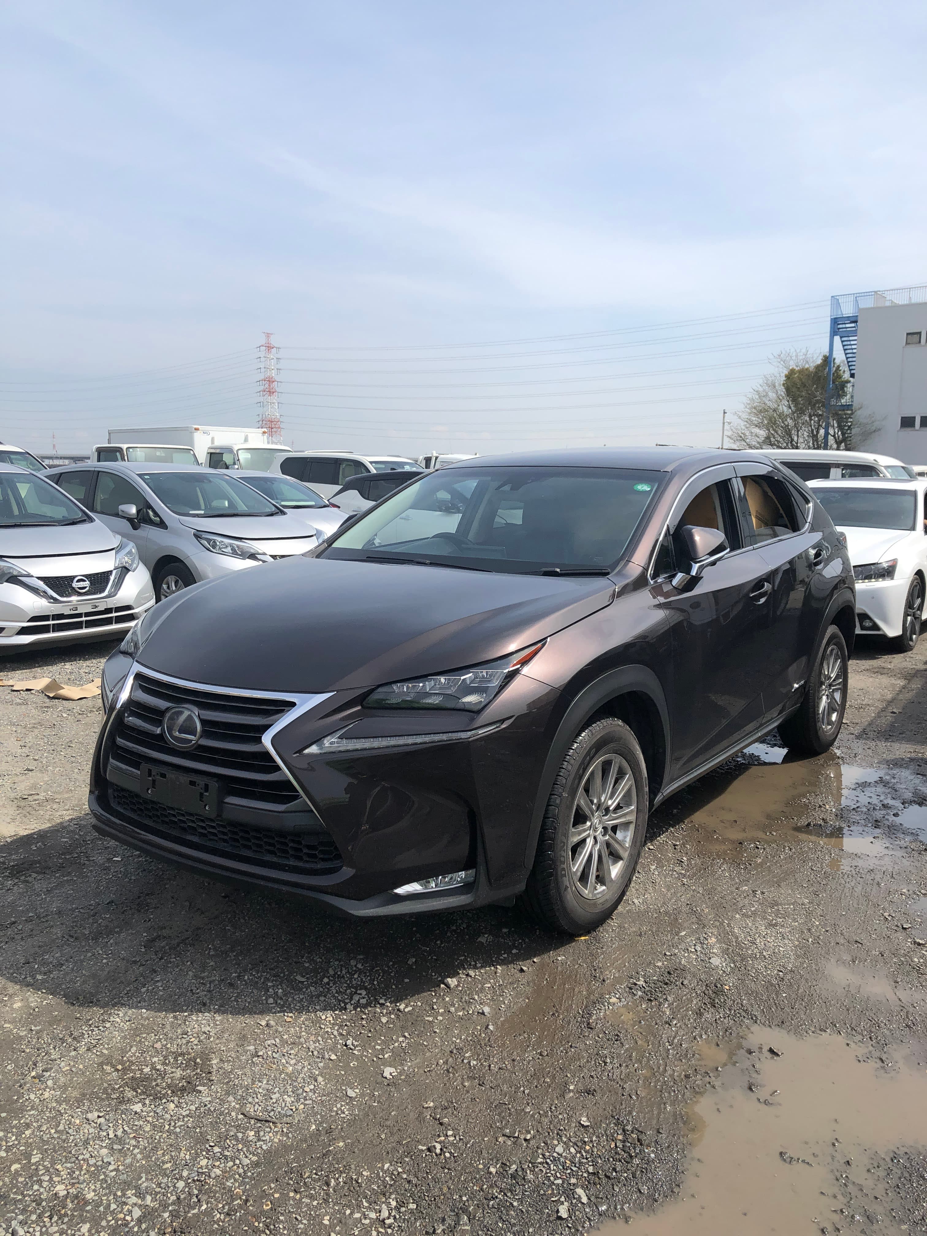 Lexus NX